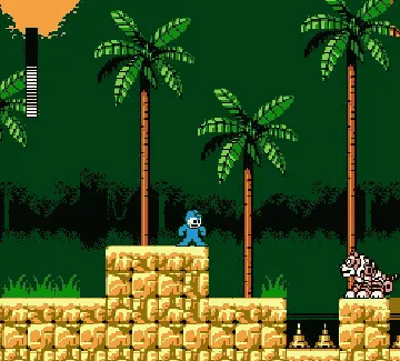 Mega Man 5 (USA) (Virtual Console) screen shot game playing